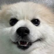 제육볶음 볶아온나