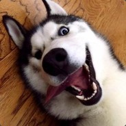 能抗能打还能耍