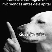 COCHICHO - SKINS