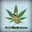 TheBoy420