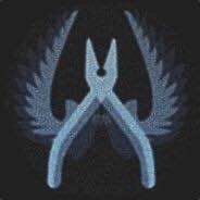 电脑玩家维塔利