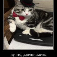 \тесто/КлQзер