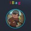 iBaG 2.0