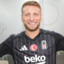 Ciro Immobile