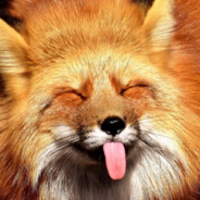 Zozorrito