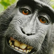 Футболист 2015