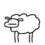 Carll