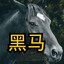 BLACKHORSE-黑马