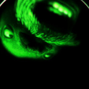 TheLonelySigmaWolf(cocaine)