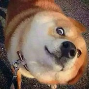 WjianG