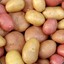 Potato hellcase.com