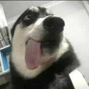 重生我在狼营吃人肉300-