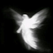 vizona - steam id 76561198314841813