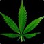 SmokinDab420