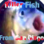twinkfish1234