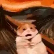 𝑺𝒐𝒔𝒆𝒌𝒊