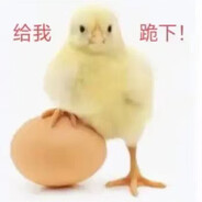 无敌鸡傲天