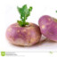 violetvia
