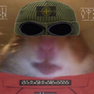 НИГАААА - steam id 76561199223589053