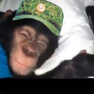 Сергей Цуркан 🦷 avatar