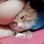 zz