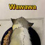 WAWAWAWA