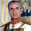 MohammadRezaShah