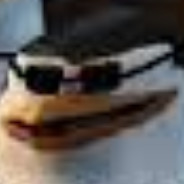 CoolPenguin71
