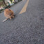 iyang