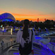 85岁退休老阿姨