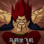 乌鸦坐飞机