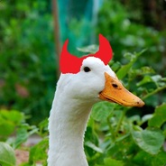 DiabolicalDuck