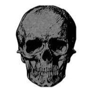 nogunsbruce - steam id 76561198213463811