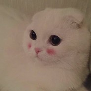 性孒傲 乀