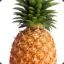 SHOANANAS