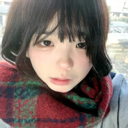 斯德哥尔摩的鸽