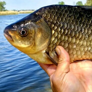 Карась Володька