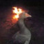 Veb goose