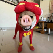 翻斗花园胡图图