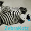 ZebraKotz