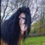 creepy_ahh_horse