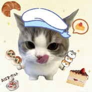 钵钵猫 avatar