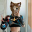 PuppyBoyWillow