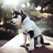 𝕷𝖚𝖈𝖐𝖞 𝖌𝖚