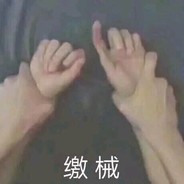 远赴人间惊鸿宴