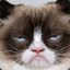 Grumpy_Cat