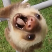 三天就上了悠亚