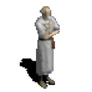 Pepin the Healer