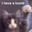 Bomb Haver