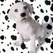 DalmatiaN